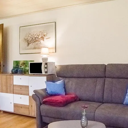 Oberengenbachhof Apartment Eisenbach (Breisgau-Hochschwarzwald)