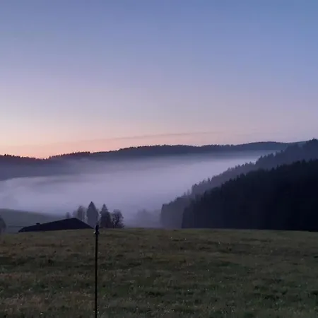 Oberengenbachhof Apartment Eisenbach (Breisgau-Hochschwarzwald)