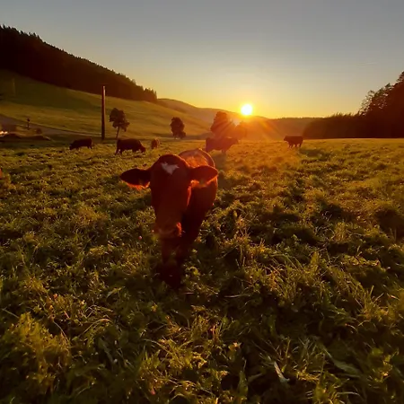 Apartman Oberengenbachhof