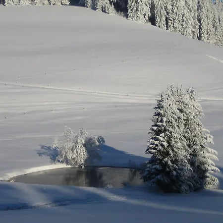 Apartman Oberengenbachhof Eisenbach