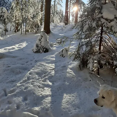 Oberengenbachhof Apartman Eisenbach
