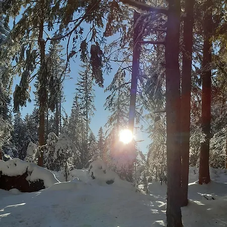 Oberengenbachhof * Eisenbach