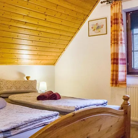 Oberengenbachhof Apartman Eisenbach