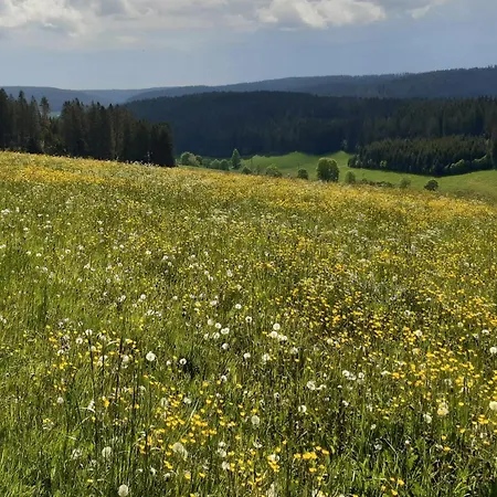 Oberengenbachhof Apartman Eisenbach